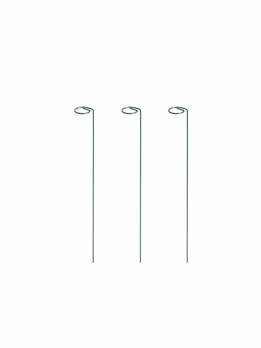 Plant Supports * | Gsc Single Stem Supports, Set Of 3