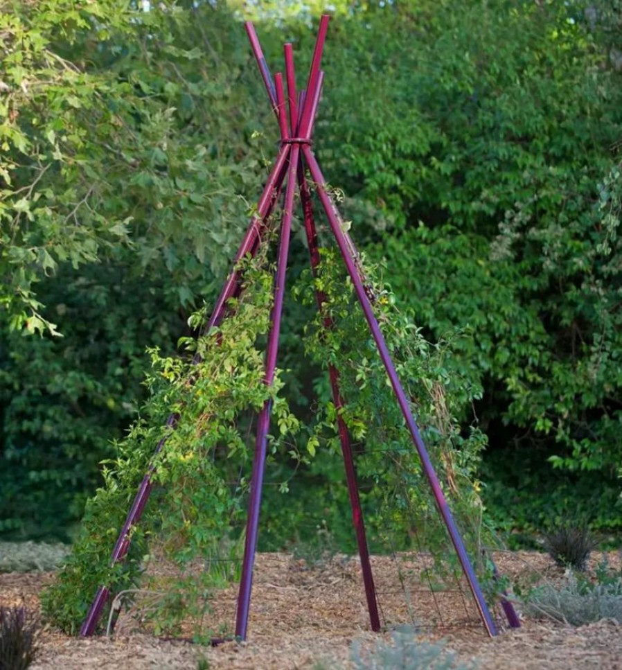 Plant Supports * | Gsc Annabel Tipi Trellis