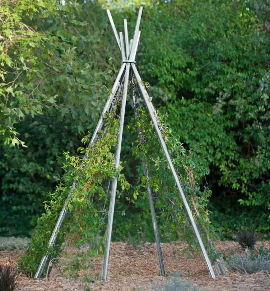 Plant Supports * | Gsc Annabel Tipi Trellis