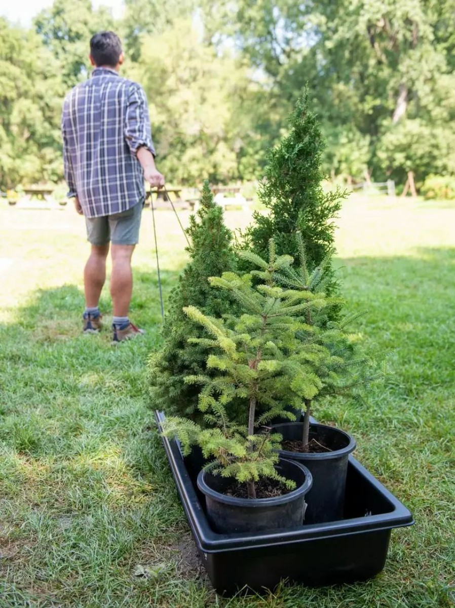 Garden Tools * | Gsc Gardener'S Summer Sled And Cover