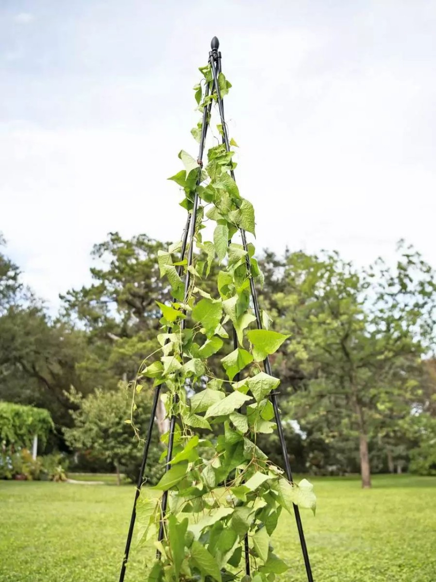 Plant Supports * | Gsc Titan Teepee Trellis