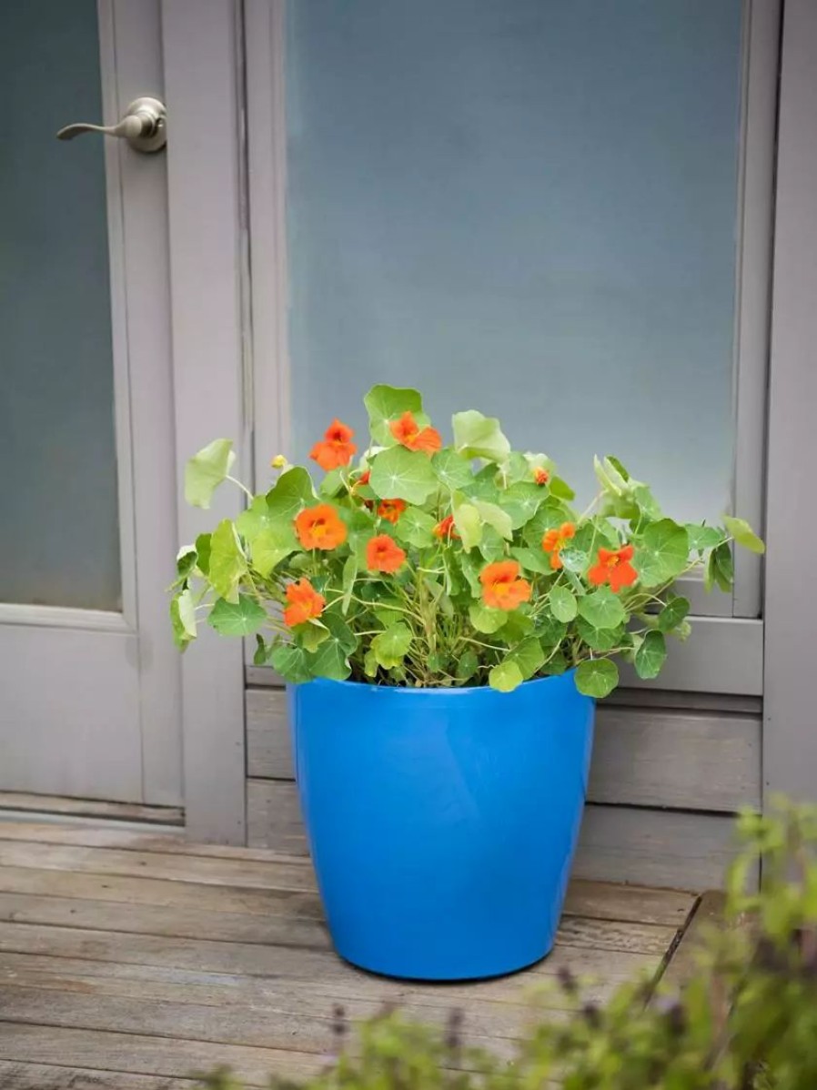 Planters & Raised Beds * | Gsc Viva Round Self-Watering Rolling Planter, 17.25" Diameter