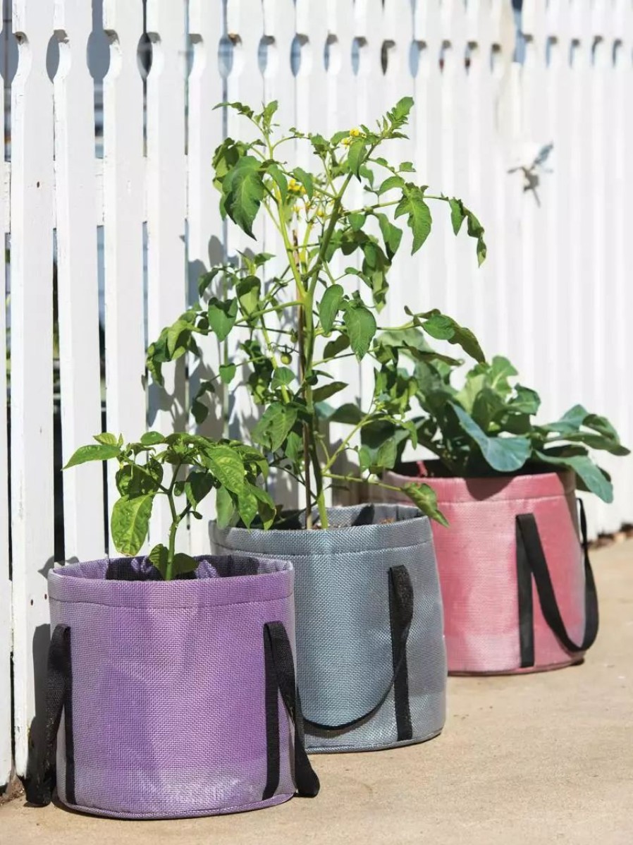 Planters & Raised Beds * | Gsc Reinforced Colorful Grow Bags