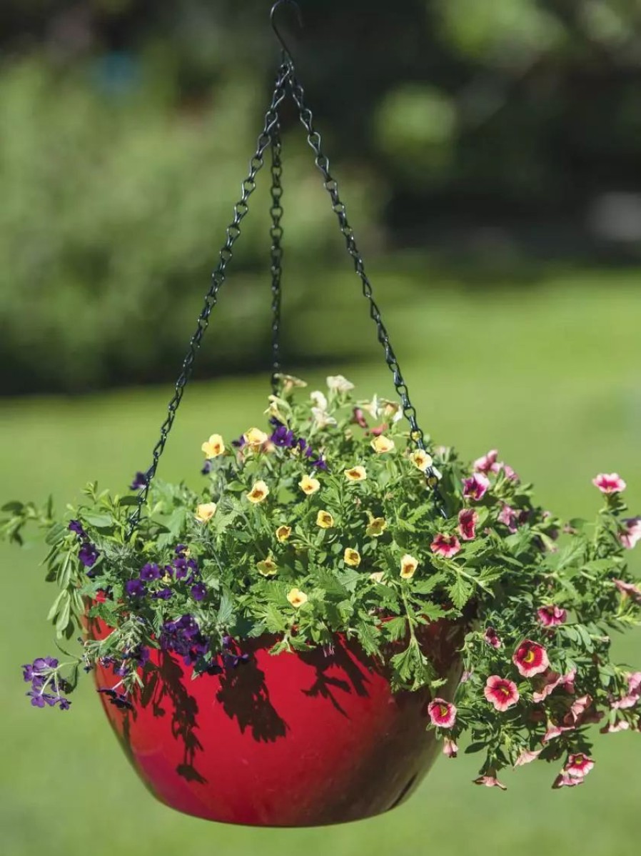 Planters & Raised Beds * | Gsc Viva Self-Watering Hanging Basket, 14 Diameter