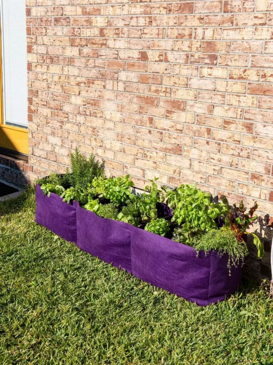 Planters & Raised Beds * | Gsc Smart Pot Raised Bed Planter, Purple