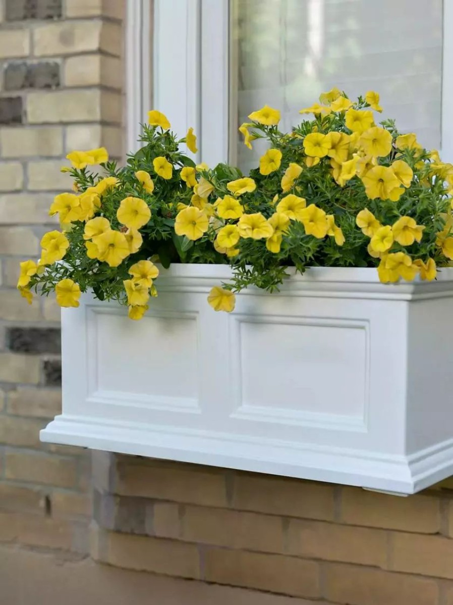 Planters & Raised Beds * | Gsc Fairfield Self-Watering Window Box, 2'