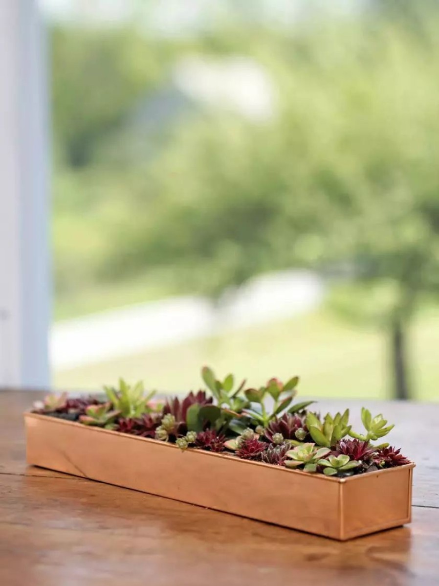 Planters & Raised Beds * | Gsc Rectangular Copper Plant Tray, 18 X4