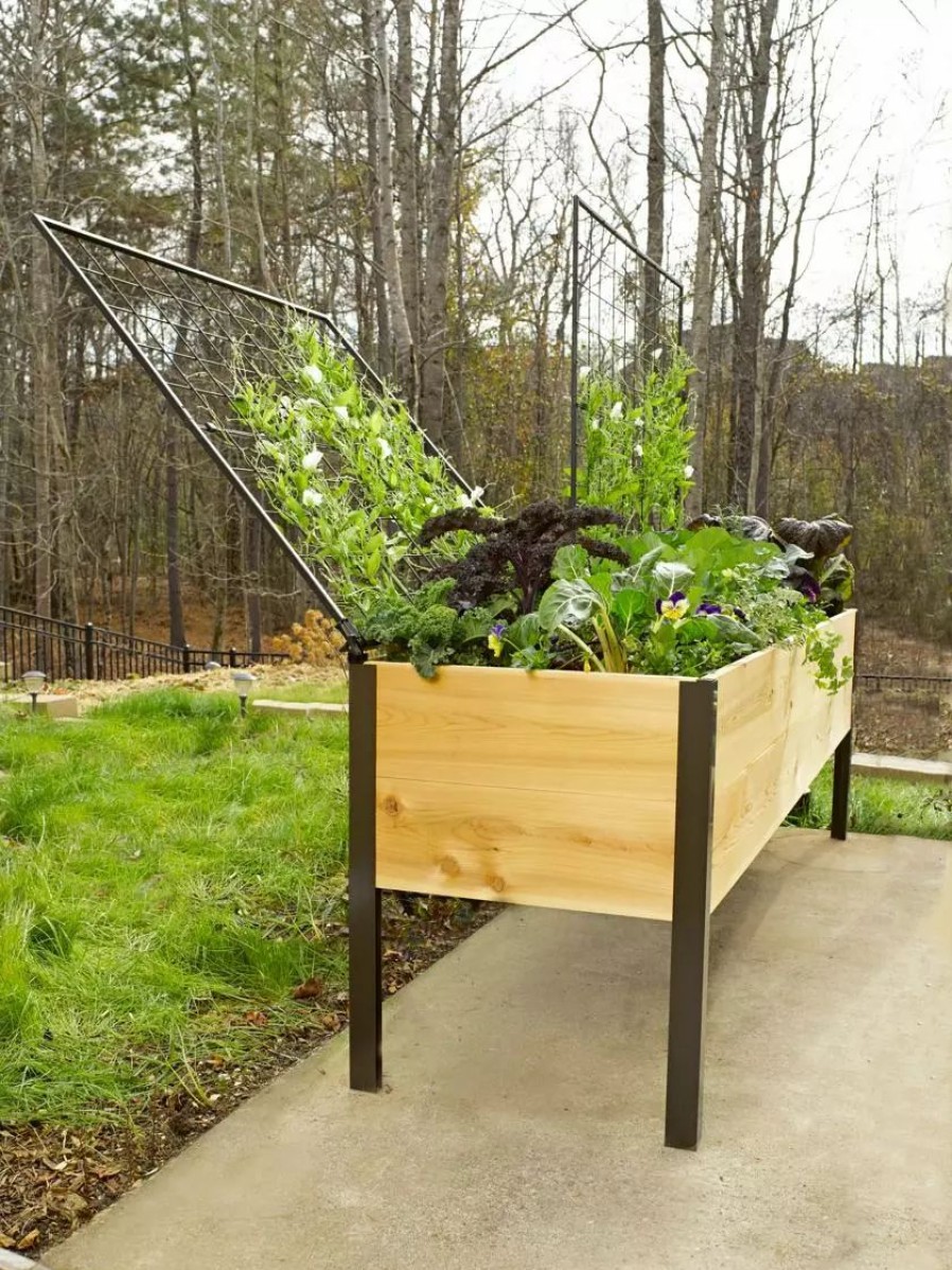 Planters & Raised Beds * | Gsc Elevated Planter Box And Space-Maker Pivoting Trellis Set, 2 X 8