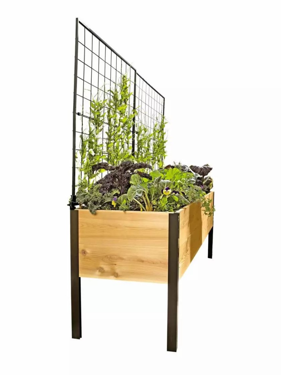 Planters & Raised Beds * | Gsc Elevated Planter Box And Space-Maker Pivoting Trellis Set, 2 X 8