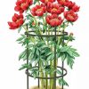 Plant Supports * | Gsc Titan Peony Supports, Medium, Set Of 2