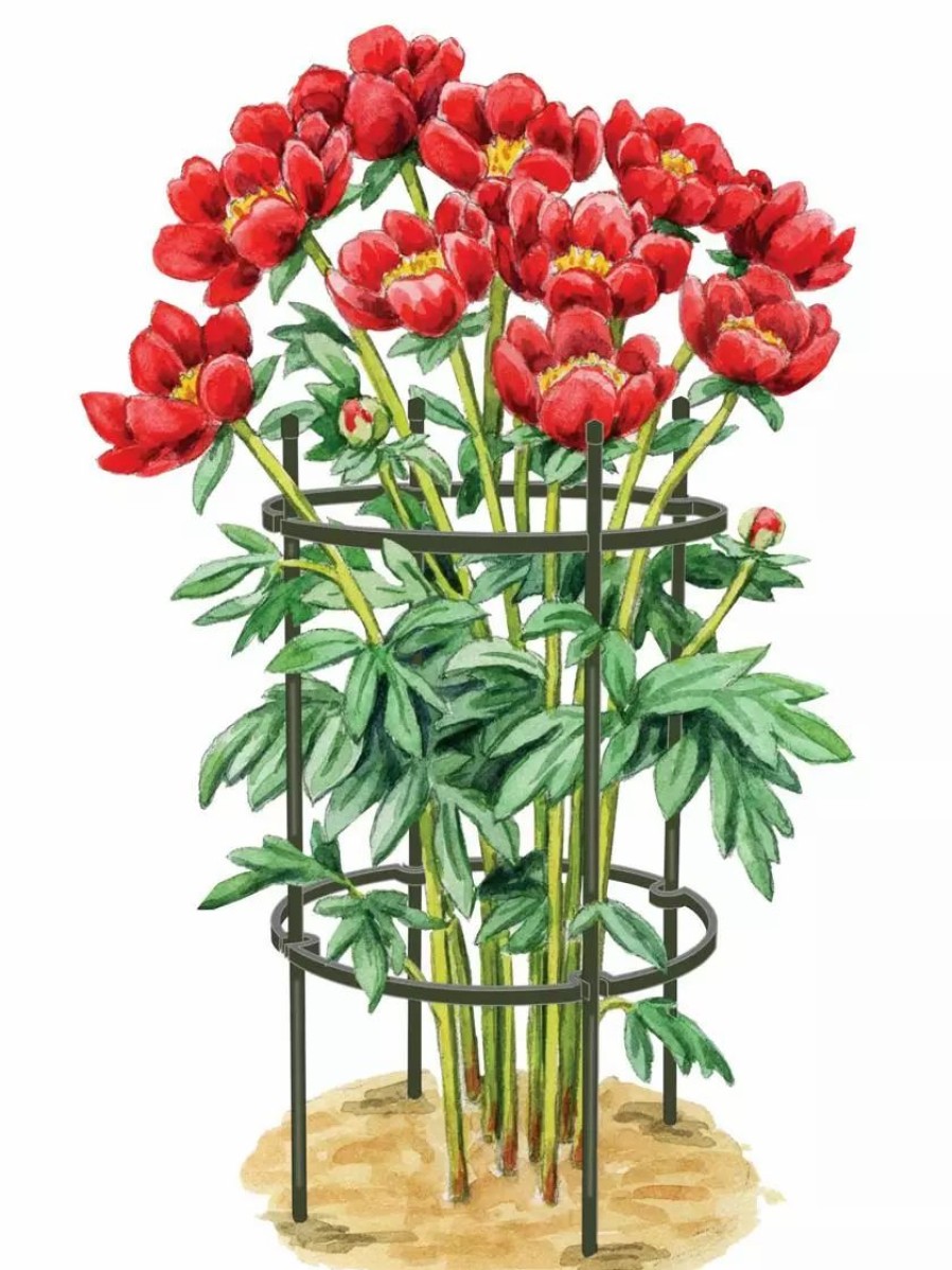 Plant Supports * | Gsc Titan Peony Supports, Medium, Set Of 2