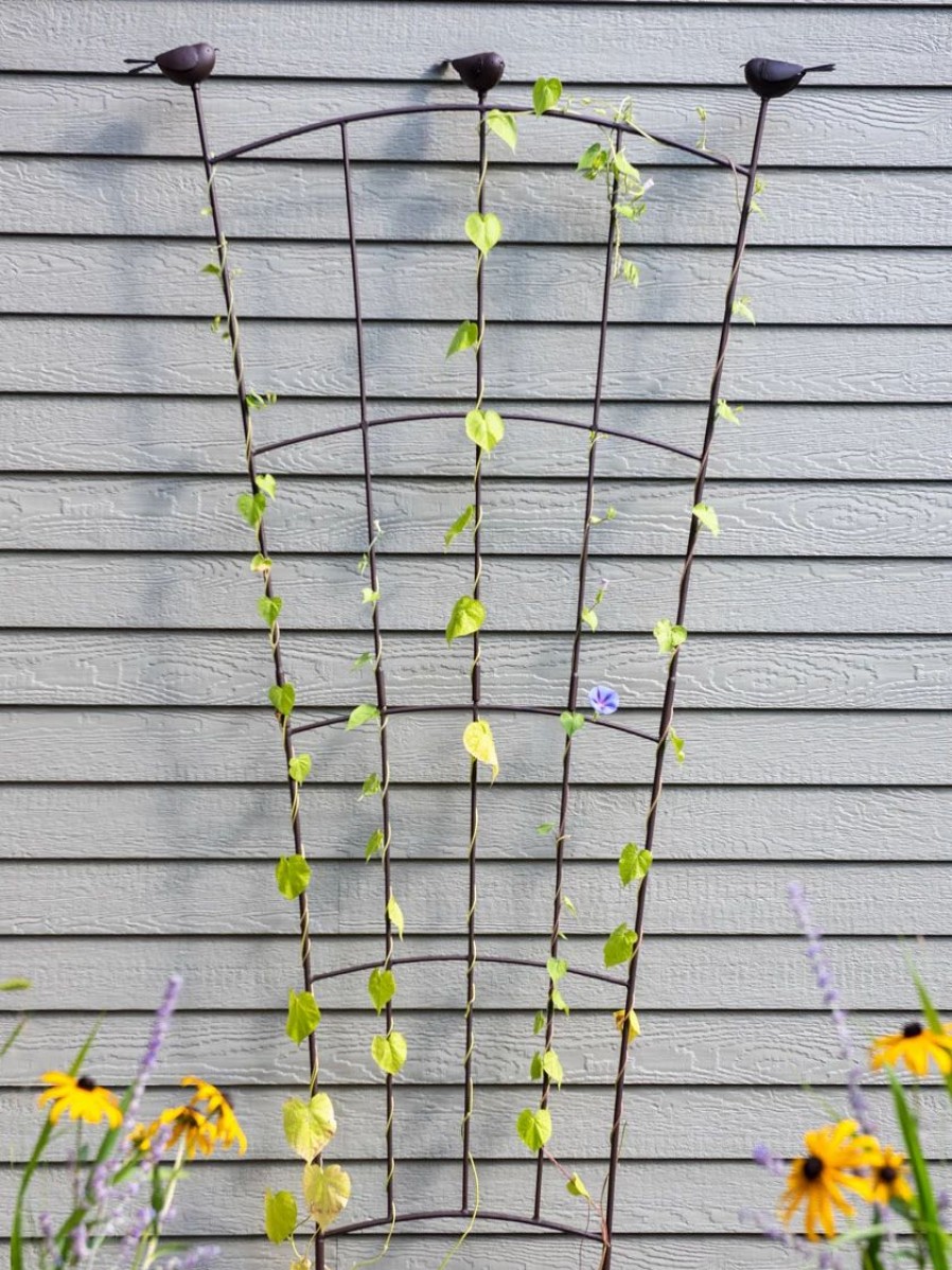 Plant Supports * | Gsc Flock Of Friends Wall Trellis