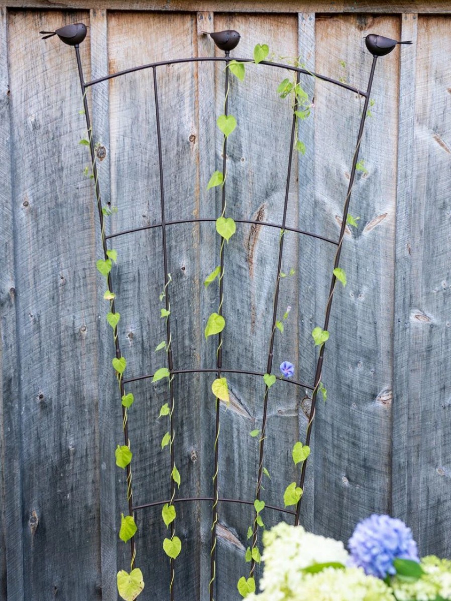 Plant Supports * | Gsc Flock Of Friends Wall Trellis