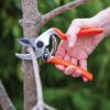 Garden Tools * | Gsc Castellari Mini Anvil Pruner