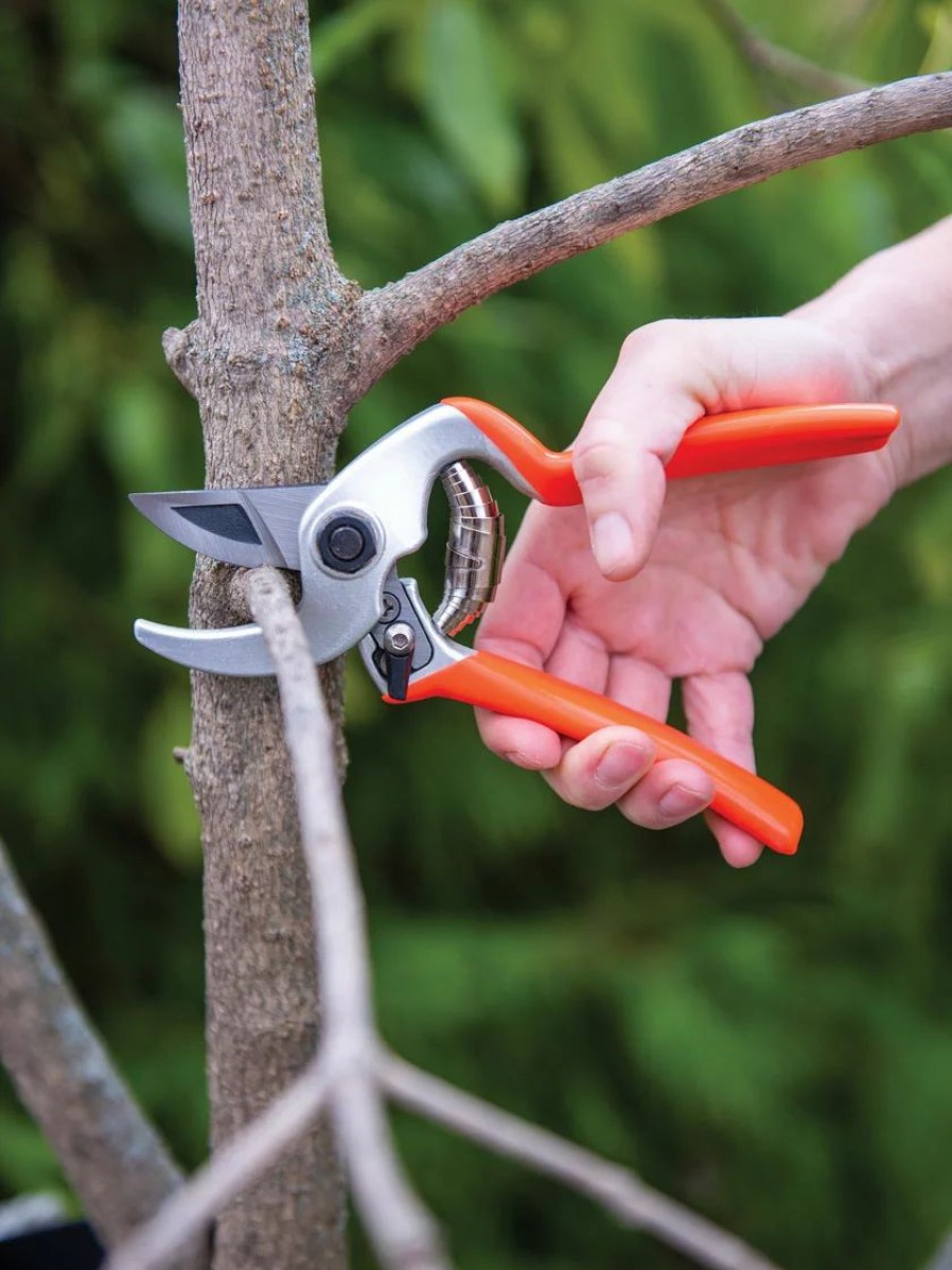 Garden Tools * | Gsc Castellari Mini Anvil Pruner