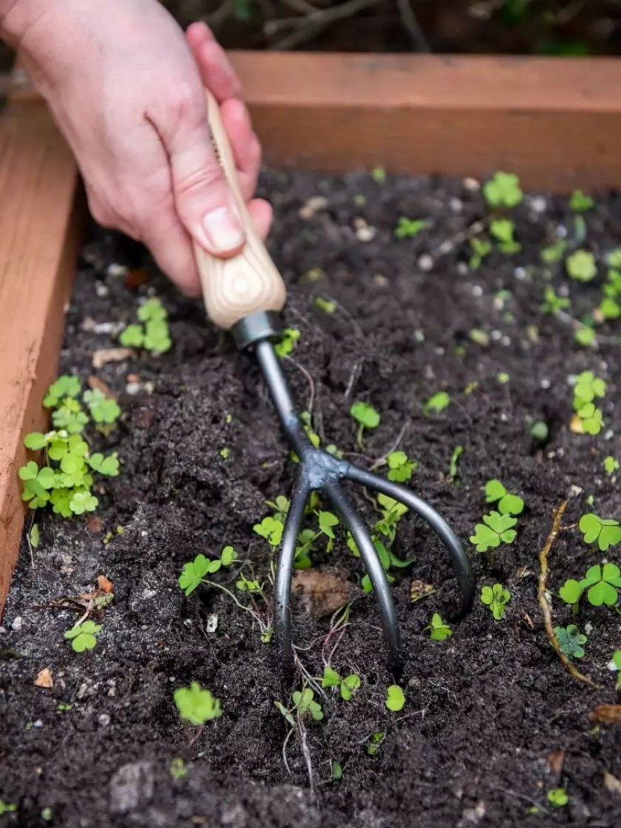 Garden Tools * | Gsc Gardener'S Lifetime Cultivator