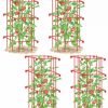 Plant Supports * | Gsc Tomato Cages, Set Of 4