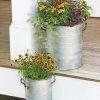 Planters & Raised Beds * | Gsc Galvanized Rim Planters