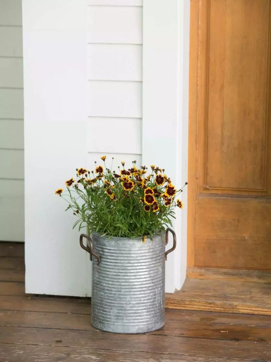 Planters & Raised Beds * | Gsc Galvanized Rim Planters