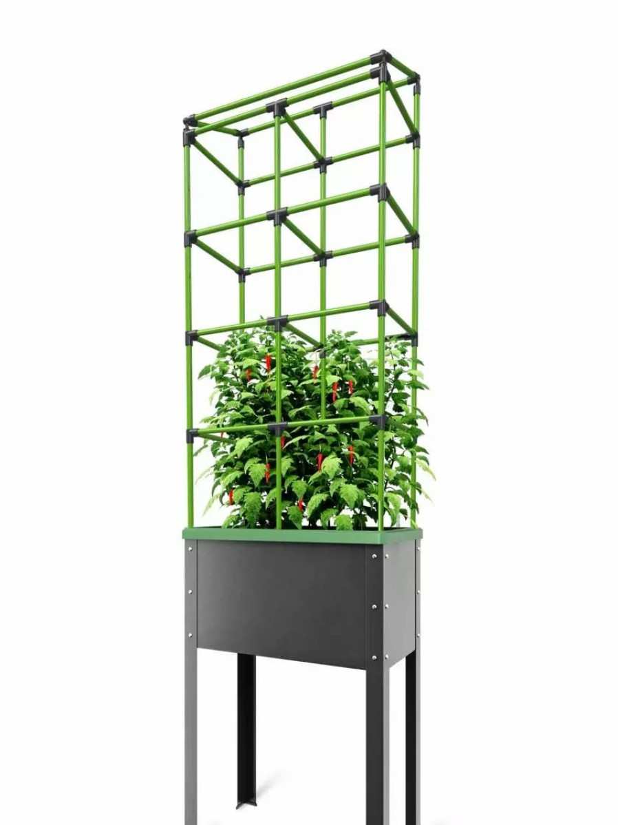 Plant Supports * | Gsc City Jungle Tomato Trellis Extension Kit