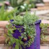 Planters & Raised Beds * | Gsc Gardener'S Best Strawberry And Herb Grow Bag