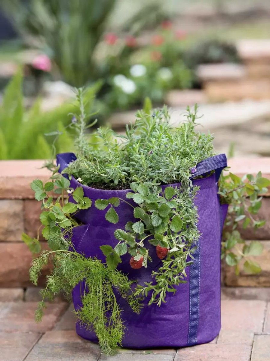 Planters & Raised Beds * | Gsc Gardener'S Best Strawberry And Herb Grow Bag