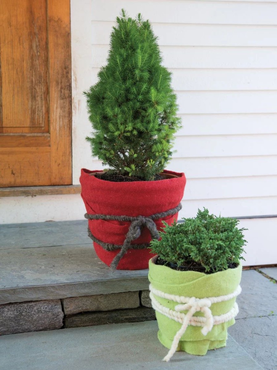 Planters & Raised Beds * | Gsc Gardenwool Cord