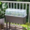 Planters & Raised Beds * | Gsc Self-Watering Standing Salad Planter With Cloche