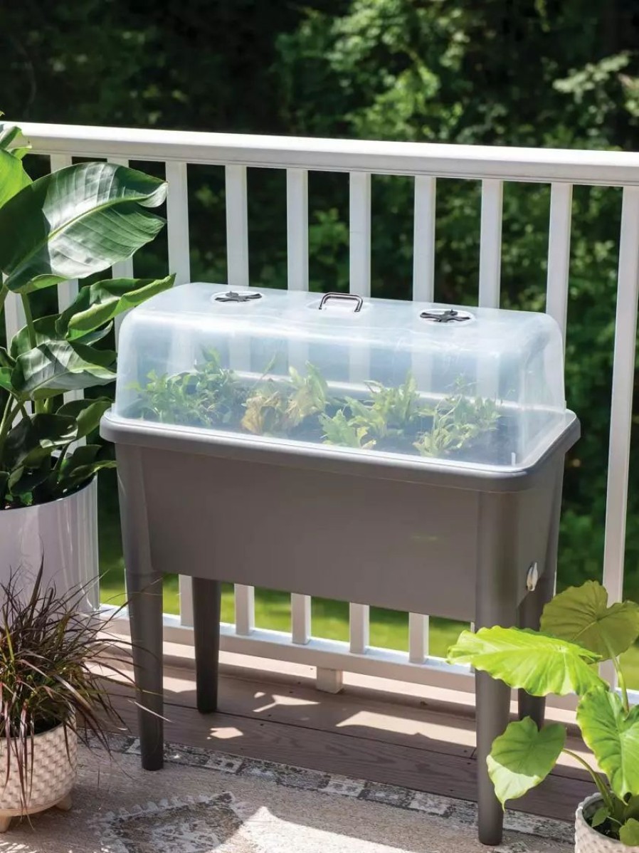 Planters & Raised Beds * | Gsc Self-Watering Standing Salad Planter With Cloche