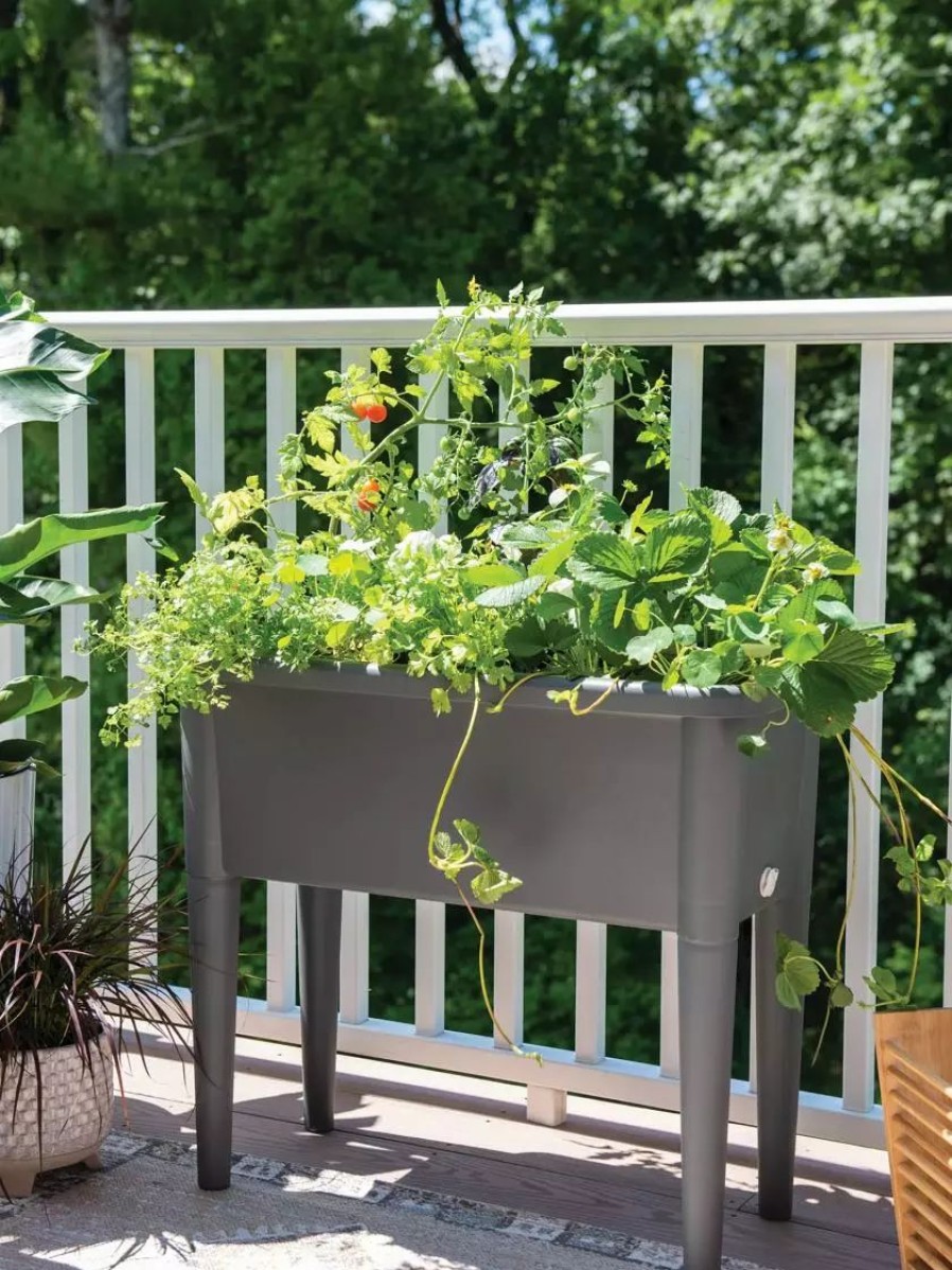 Planters & Raised Beds * | Gsc Self-Watering Standing Salad Planter With Cloche