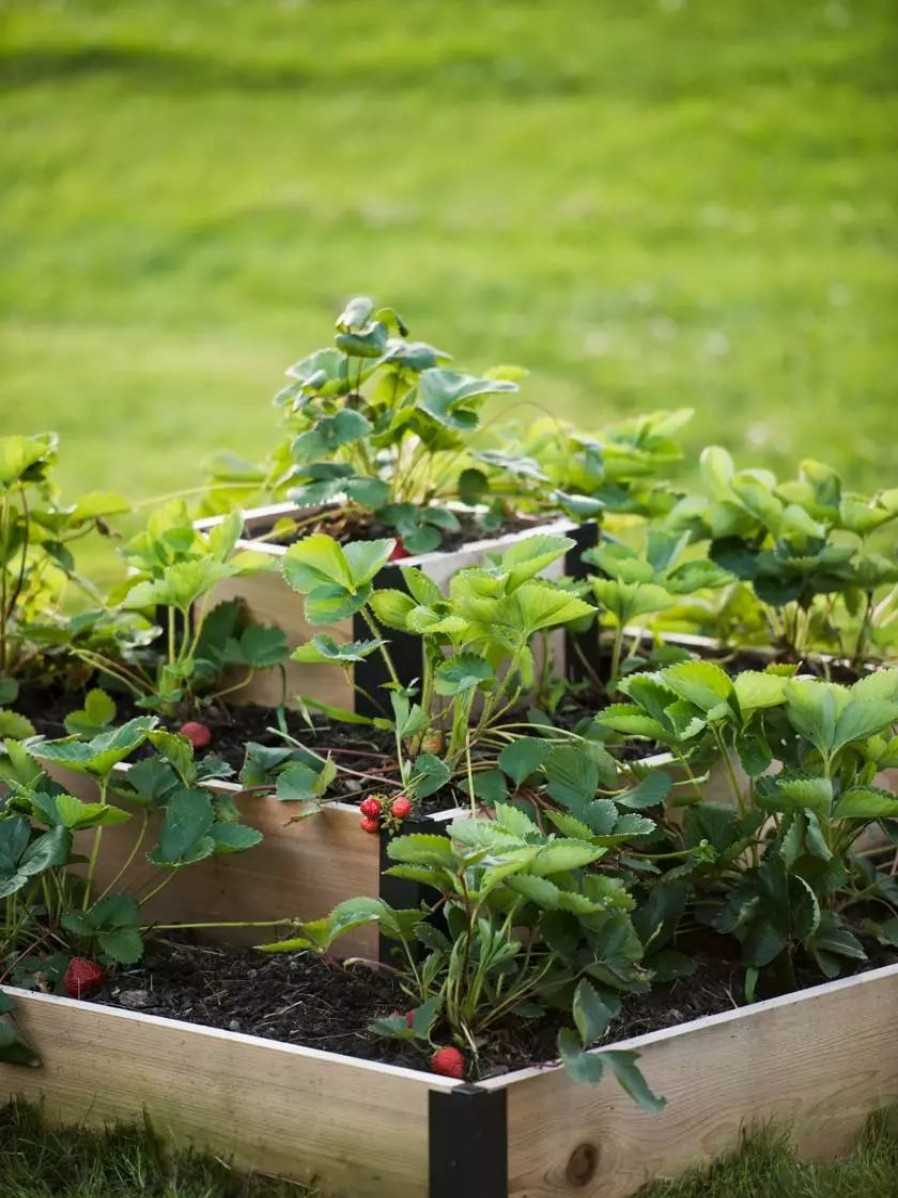 Planters & Raised Beds * | Gsc 3-Tier Strawberry Bed