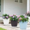 Planters & Raised Beds * | Gsc Weave Self-Watering Round Planter, 17