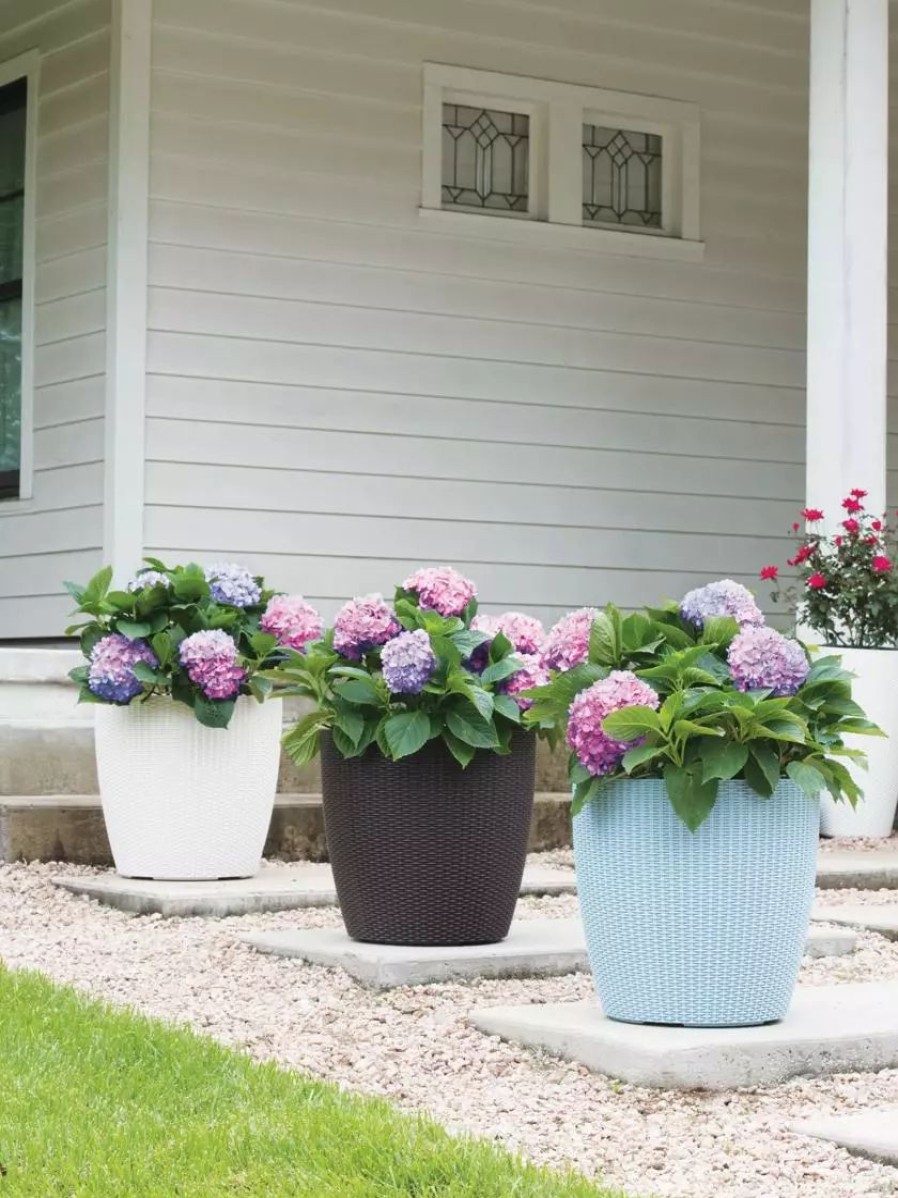 Planters & Raised Beds * | Gsc Weave Self-Watering Round Planter, 17