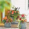 Planters & Raised Beds * | Gsc Galvanized Ribbed Planters