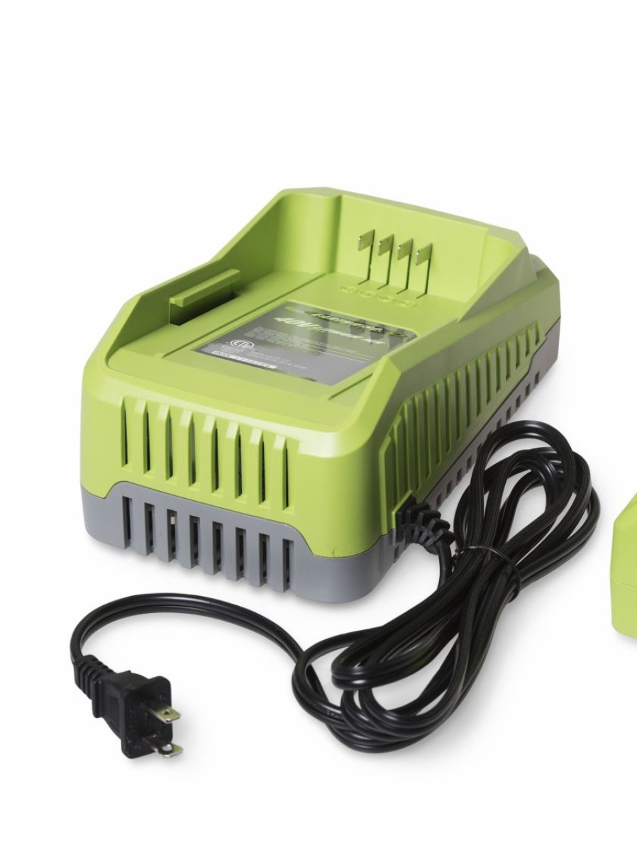 Landscaping Tools & Supplies * | Gsc Earthwise 40-Volt Battery Charger