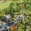 Plant Supports * | Gsc Titan Tomato Cages, Set Of 3