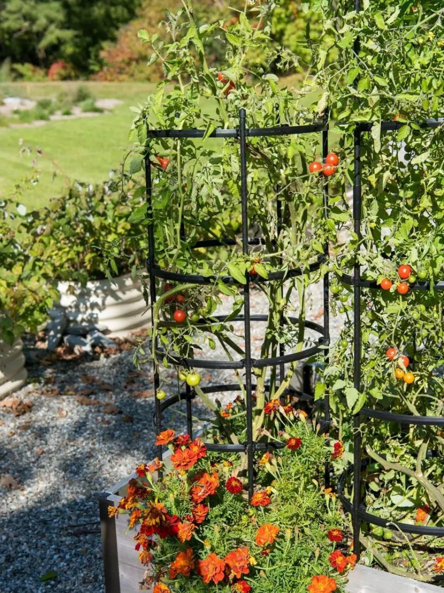 Plant Supports * | Gsc Titan Tomato Cages, Set Of 3