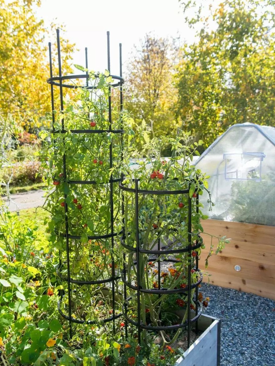 Plant Supports * | Gsc Titan Tomato Cages, Set Of 3