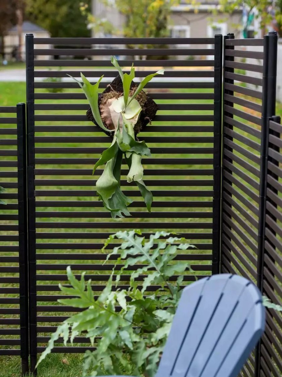 Landscaping Tools & Supplies * | Gsc Randolph Privacy Screens