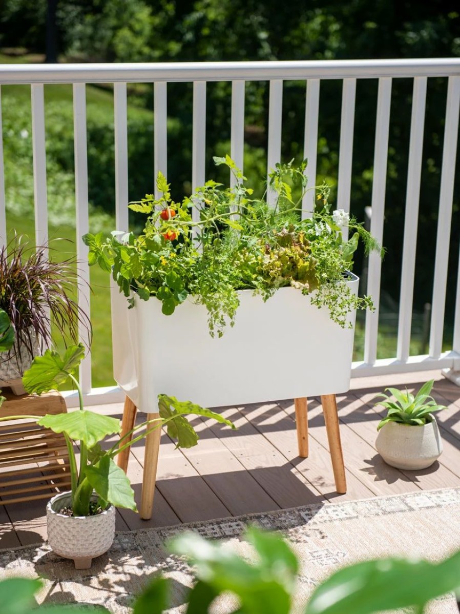 Planters & Raised Beds * | Gsc Ava Self-Watering Rectangular Planter