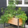 Planters & Raised Beds * | Gsc Elevated Planter Box, 2 X 4