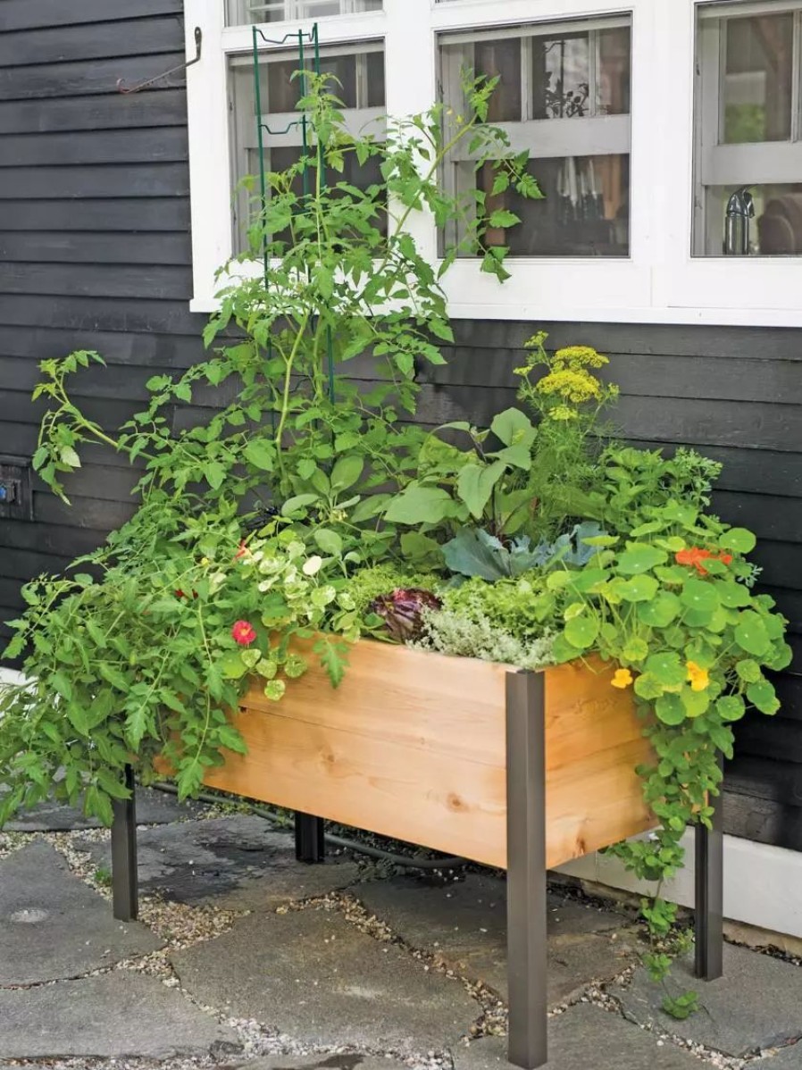 Planters & Raised Beds * | Gsc Elevated Planter Box, 2 X 4