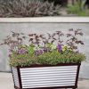 Planters & Raised Beds * | Gsc Short Galvanized Self-Watering Trough Planter