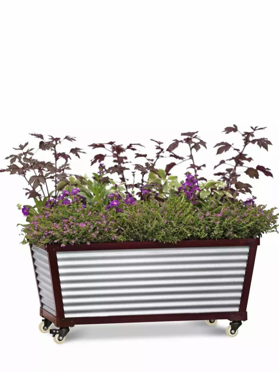 Planters & Raised Beds * | Gsc Short Galvanized Self-Watering Trough Planter