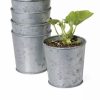 Planters & Raised Beds * | Gsc Galvanized Planting Cups, Set Of 5