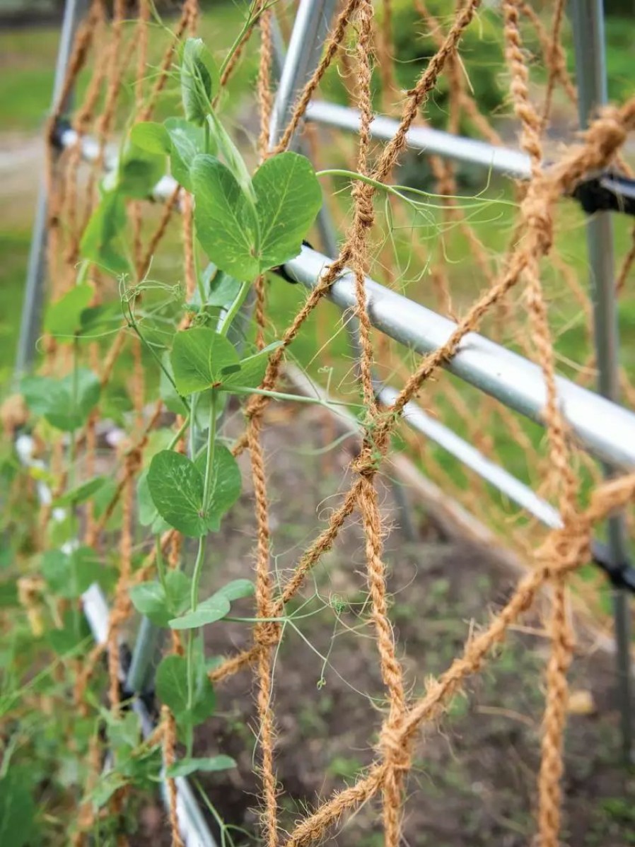 Plant Supports * | Gsc Coco Trellis Netting, 4 X 15