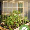 Plant Supports * | Gsc Tomato Six Pack Support