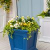 Planters & Raised Beds * | Gsc Fairfield Self-Watering Square Planter, 16" X 16"