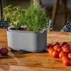 Planters & Raised Beds * | Gsc Tolita Recycled Self-Watering Flower Box Gray