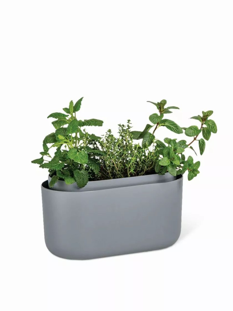 Planters & Raised Beds * | Gsc Tolita Recycled Self-Watering Flower Box Gray